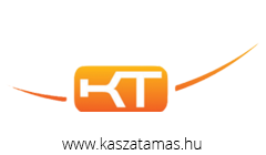 Kasza Tamás - Temesvári Richárd - Websiker Ügynökség - weboldal készítés